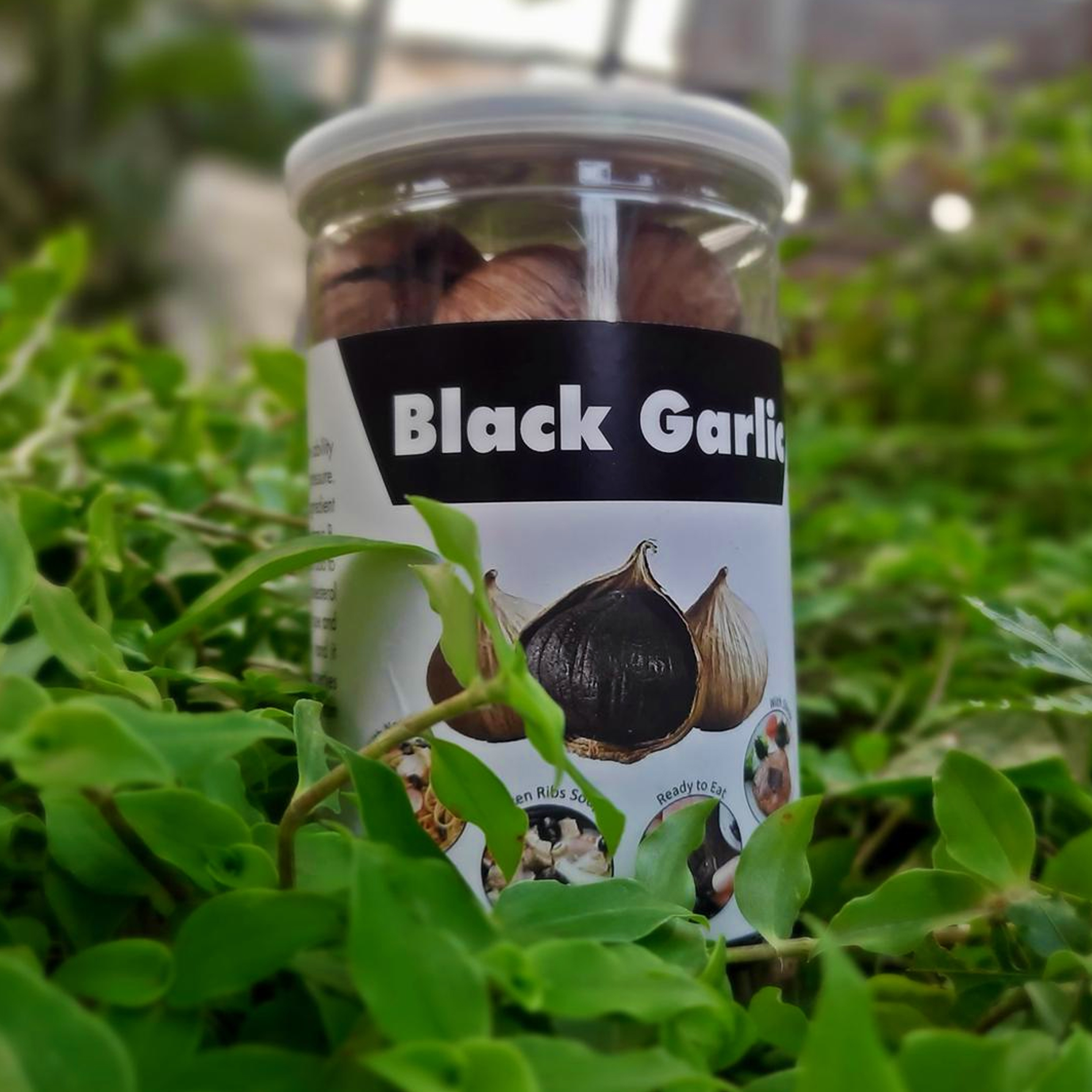 Organic Black Garlic (Single Clove) - 250 gm Organic Black Garlic (Single Clove) - 250 gm - Image 7